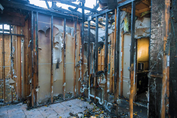 Professional Fire Damage Cleanup technician working in Immokalee, FL